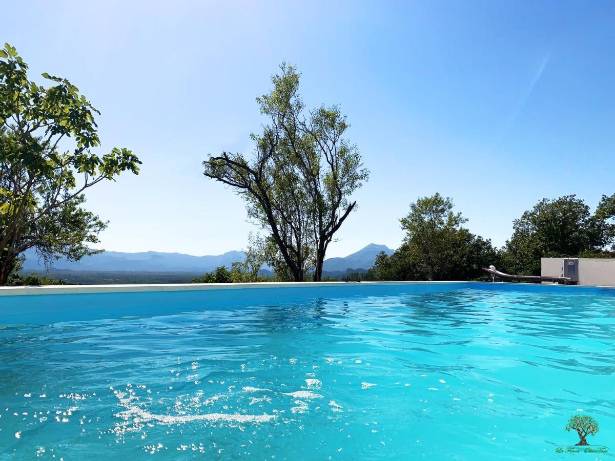 La Finca OliveTree Katuni Esterno foto